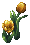 Golden Blossom of the Priestess