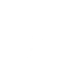 γ
