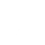 γ