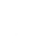 γ1