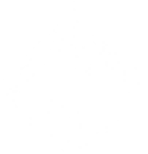 Raider