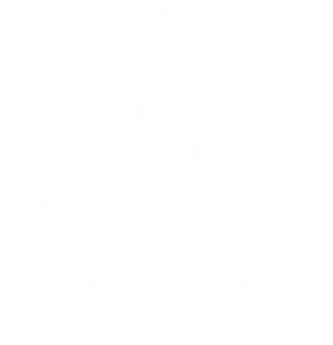 Raider