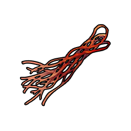 Thin Sinew