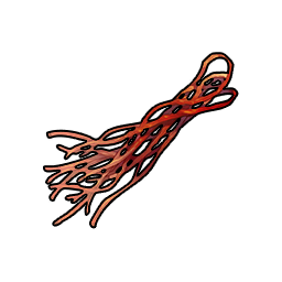 Thin Sinew