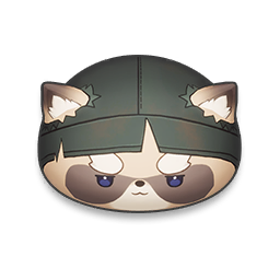 Ronin Raccoonie