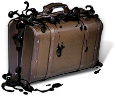 Doctor's Case