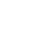 Stock
