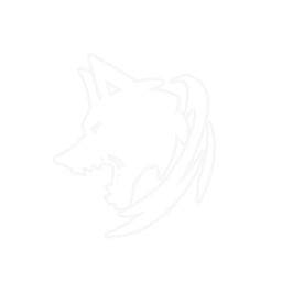 Shadow Hound Chase