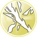 Scar of Liberation