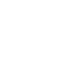 Shadownight Descendant