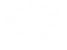 Grants Blooming Esthetics