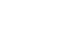 Stray Arrow