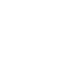 Crimson Dragon: Convergence