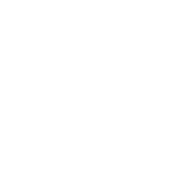 Essence Extraction