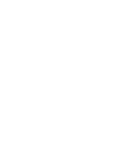 Splendid Vortex