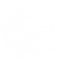 Thousand Shade Dance