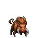 猪