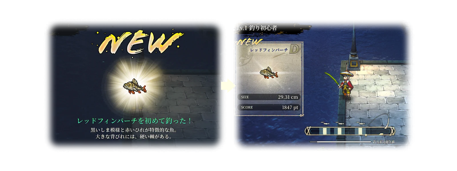 Fishing 2