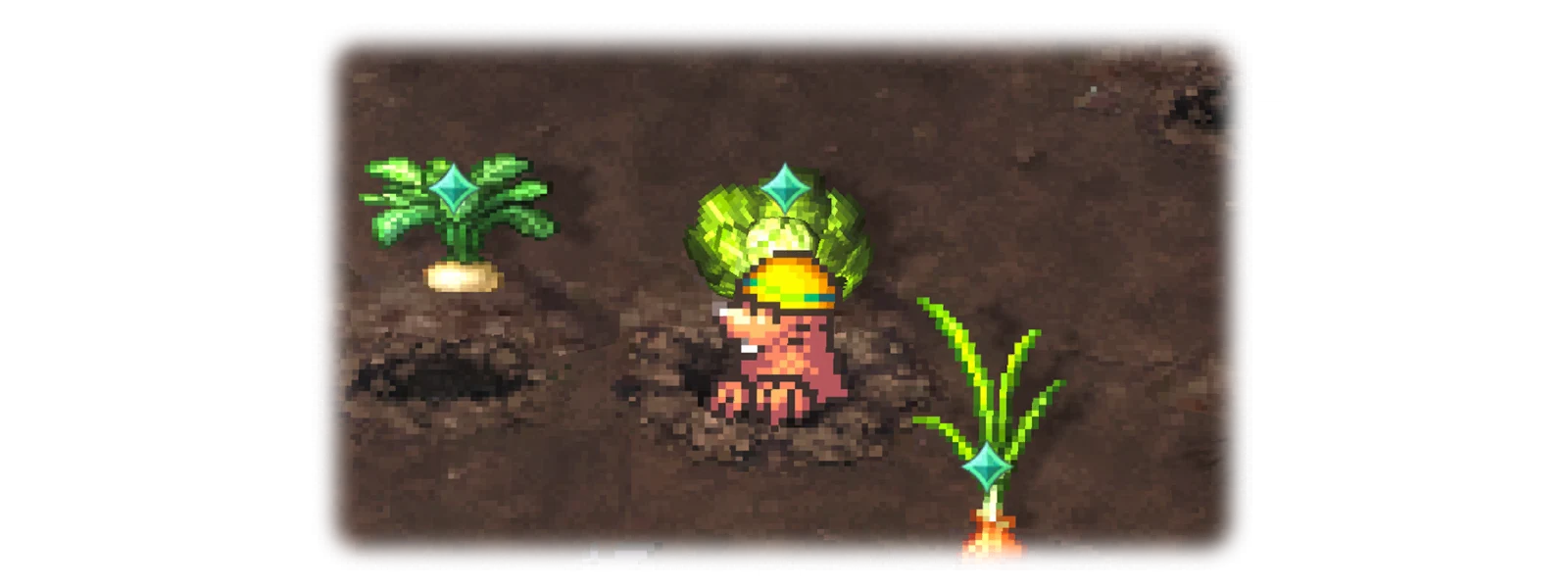 Vegetable Harvest 2
